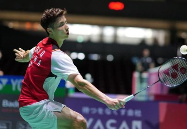 不仅展现了 不仅展现了